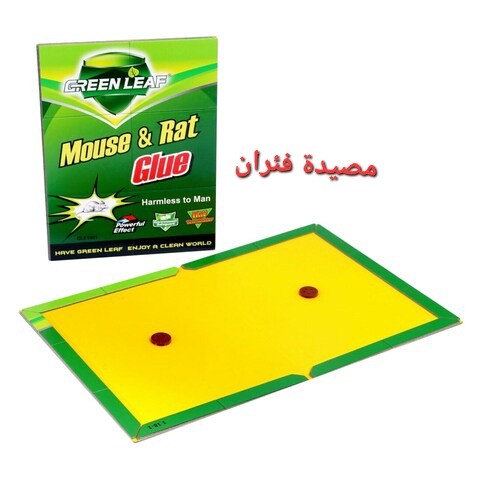 لاصق فار فأر مصيده