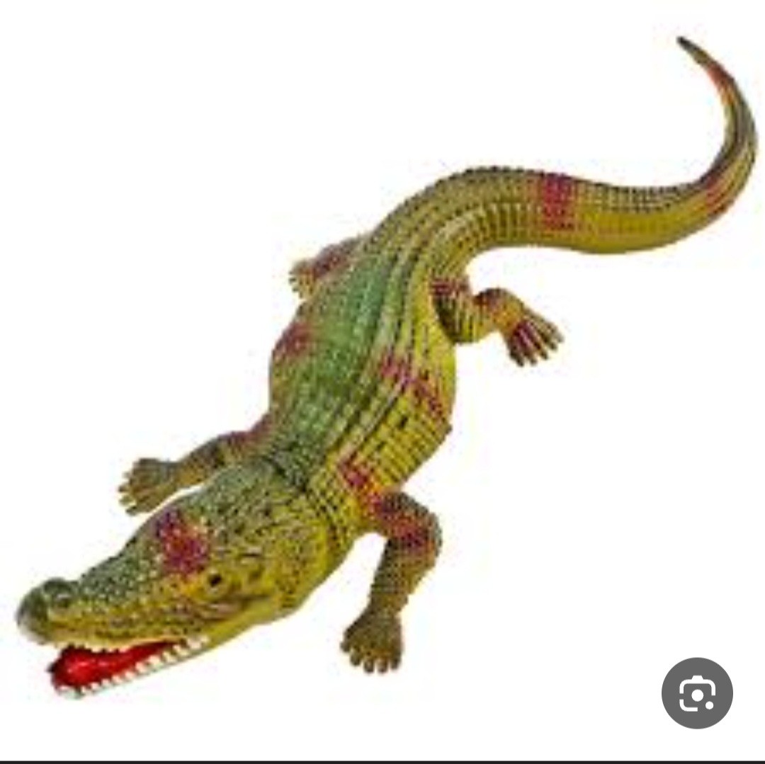 تمساح جلد زماره