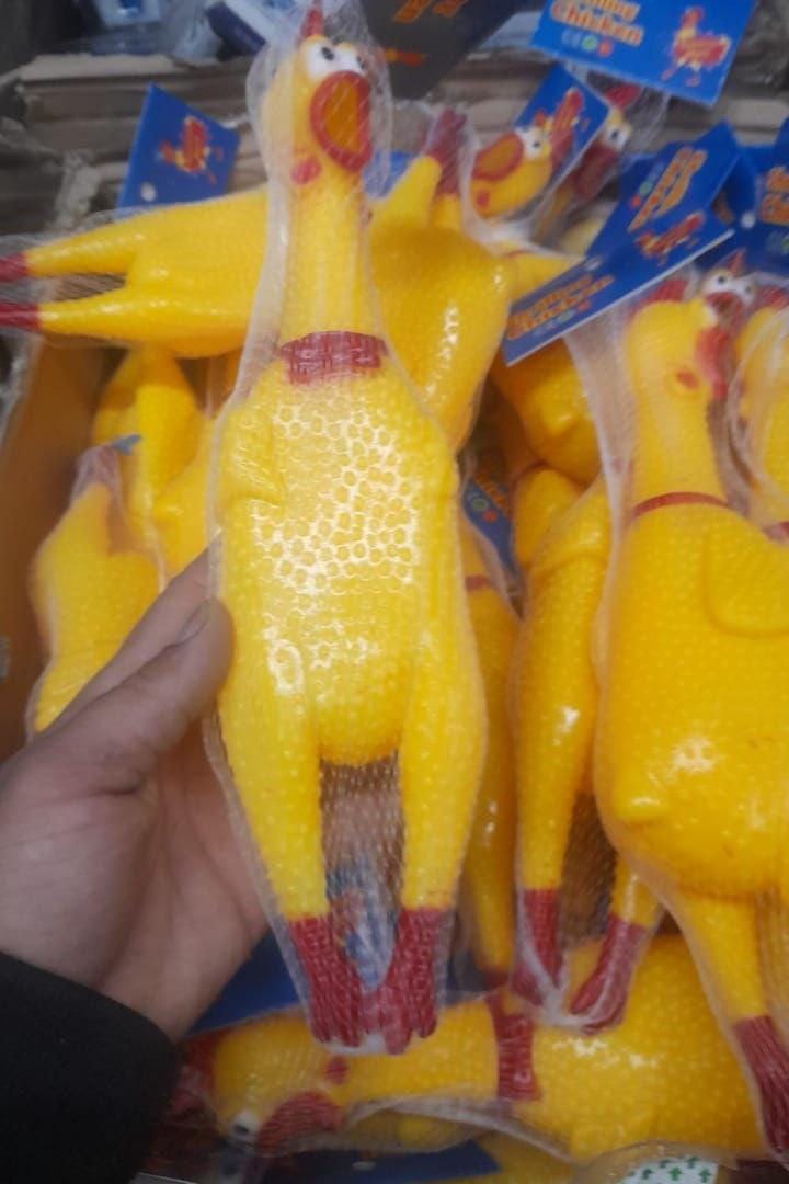 فرخه مزعجه زماره