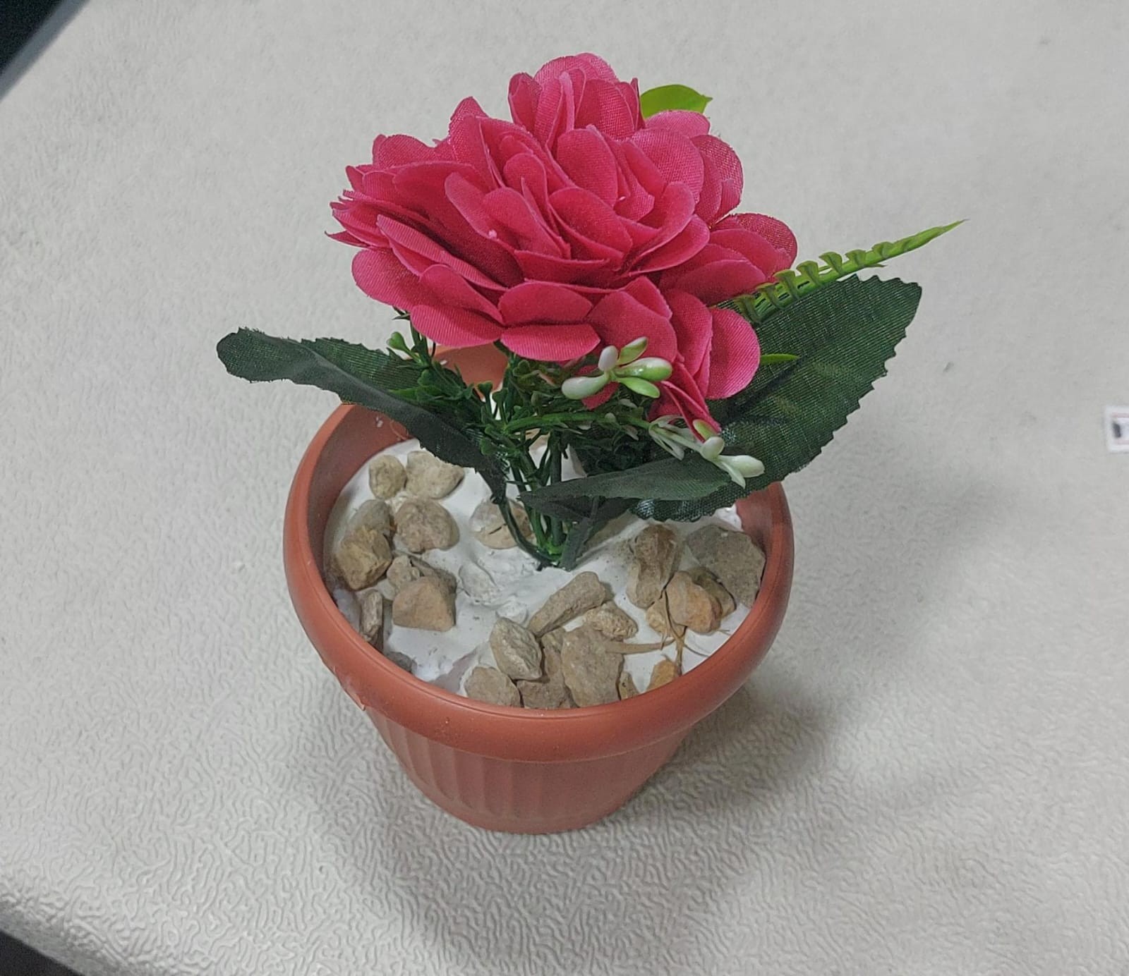 قصرية ورد جديد بيج